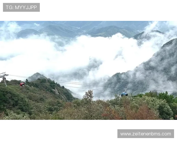 解决开云下载常见问题,快速享受无缝传输体验 解决开云下载常见问题,快速享受无缝传输体验